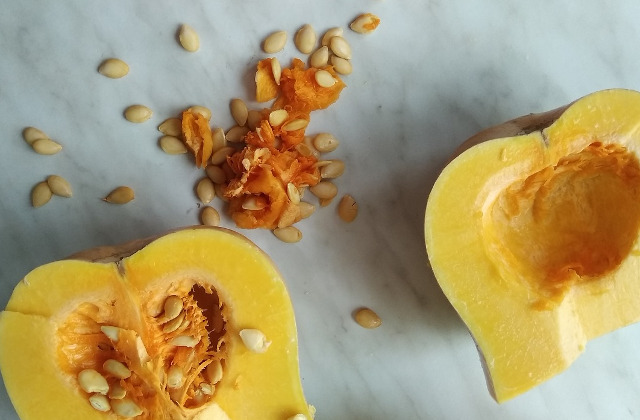 Conosciamo la zucca